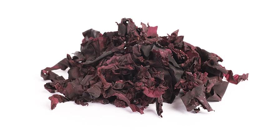 Dulse Seaweed Capsules