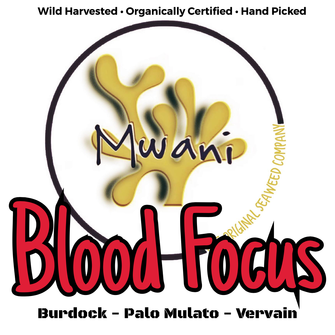 Blood Focus - Activated Irish Moss Gel