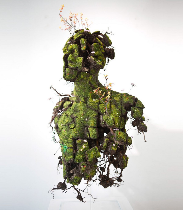 HUMAN/PLANT CONNECTION PT 1