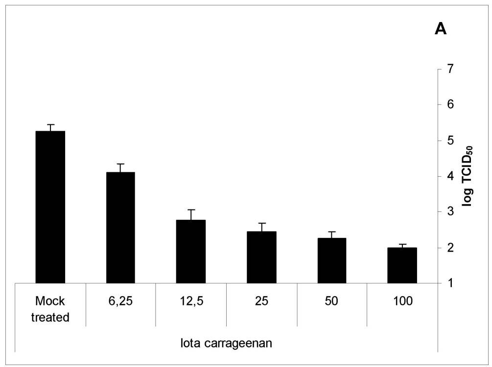 Our Seaweed & Coronavirus