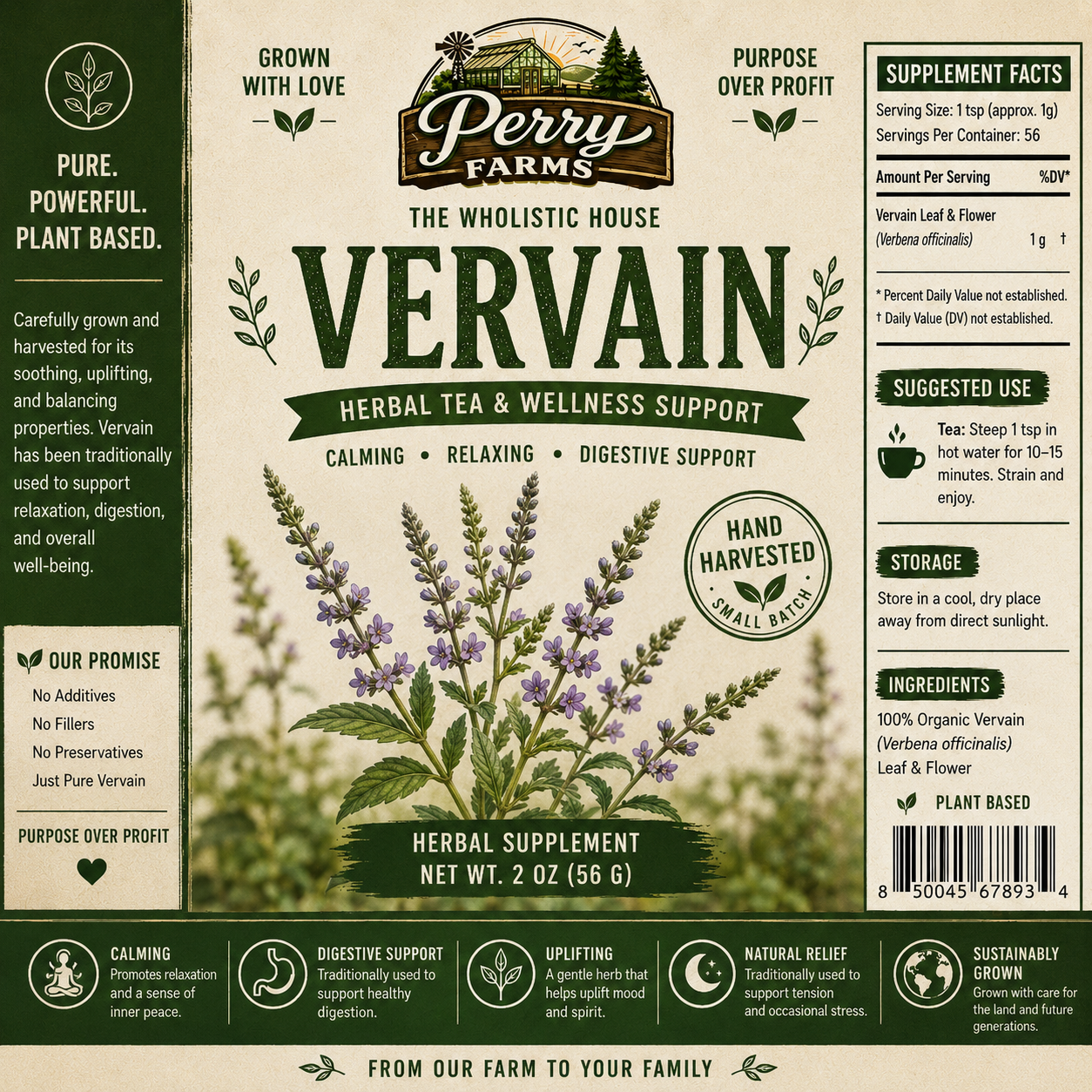 Vervain (Nervine) (Verbena Officinalis)