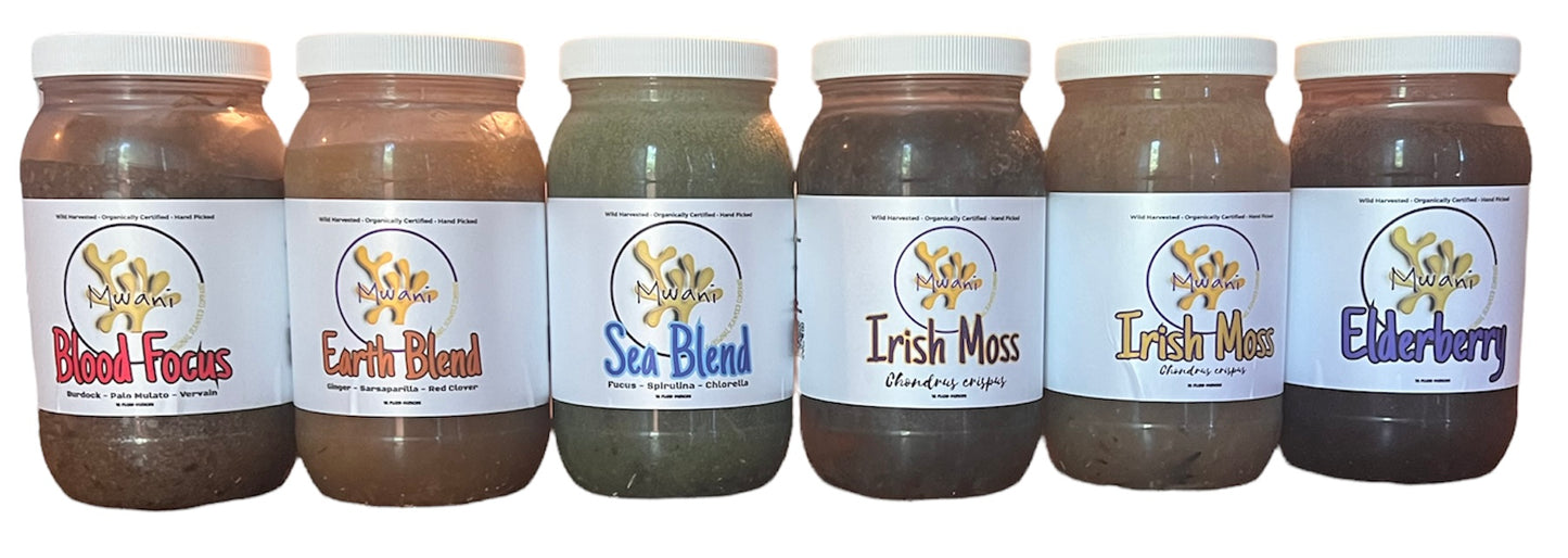 Irish Moss Gel Box