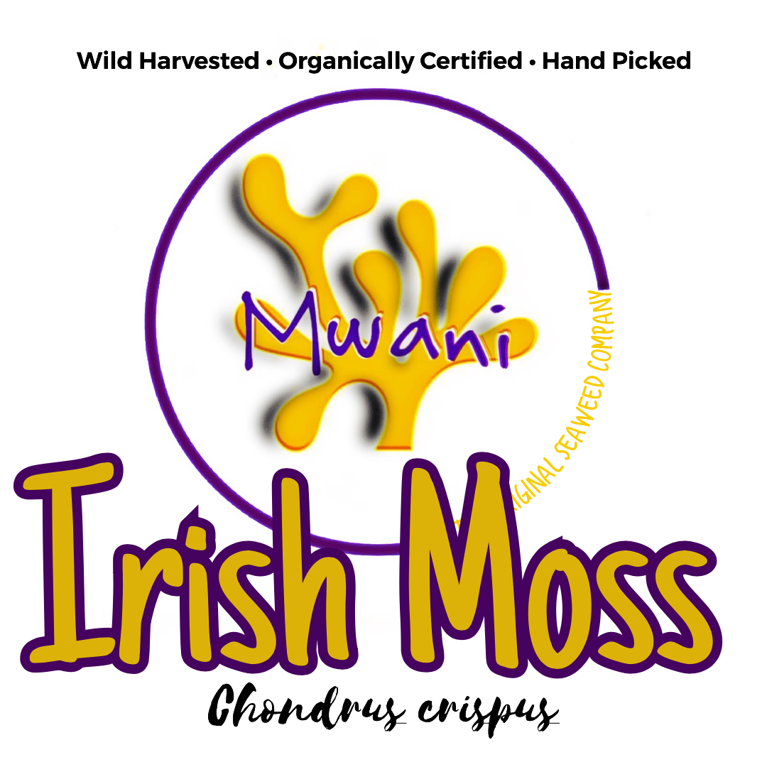 Sunkissed Irish Moss (Chondrus crispus)