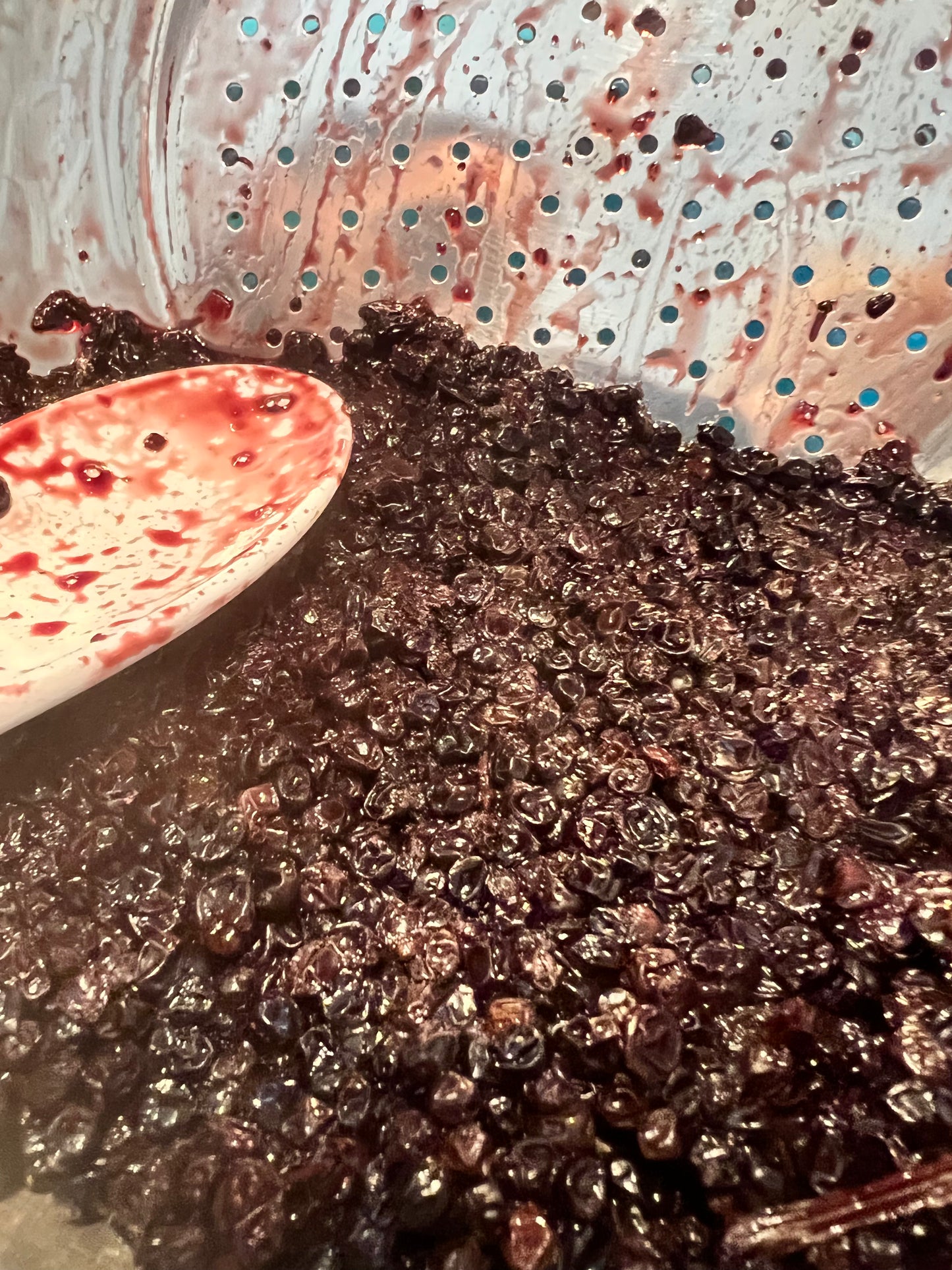Elderberry Raw