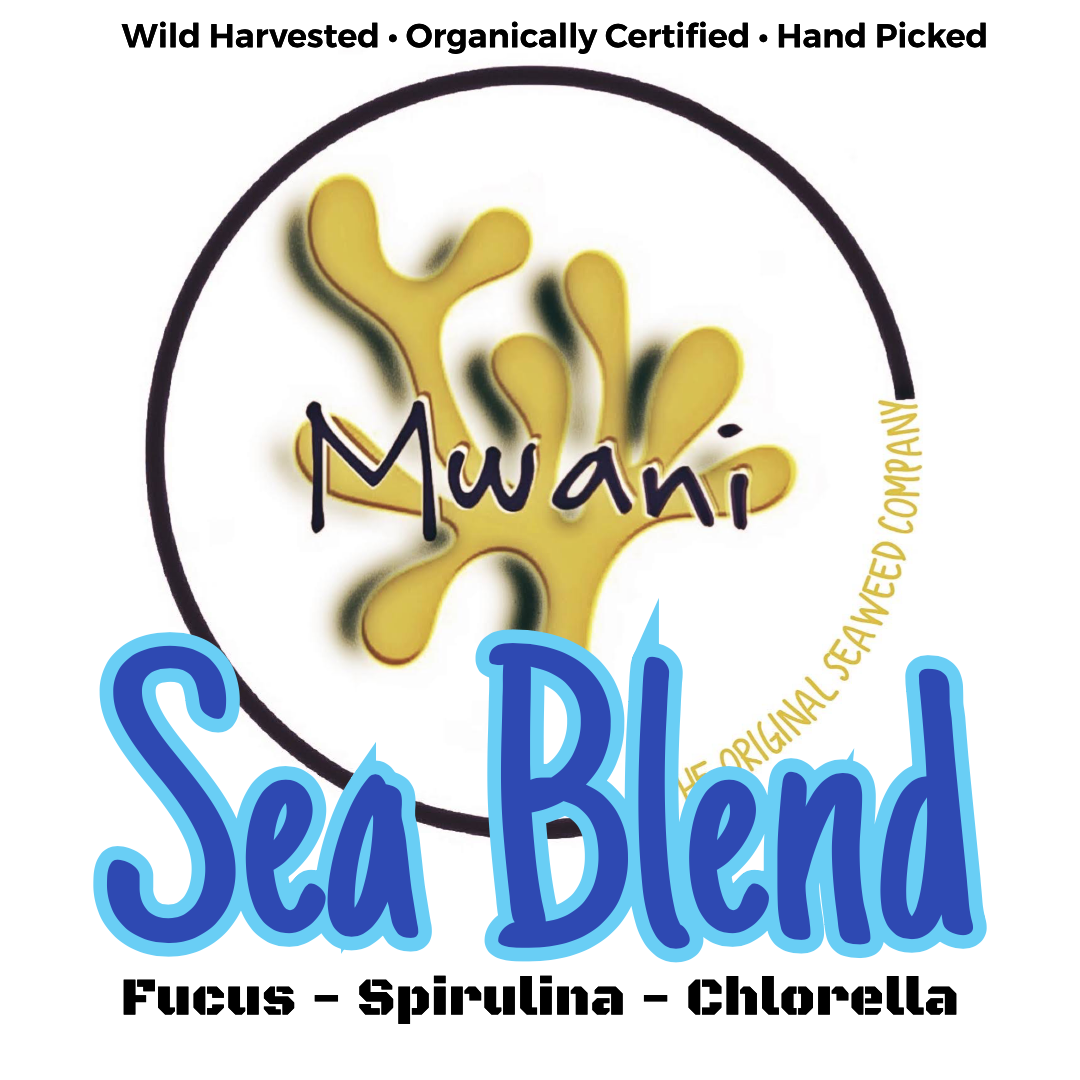 Sea Blend - Activated Irish Moss Gel