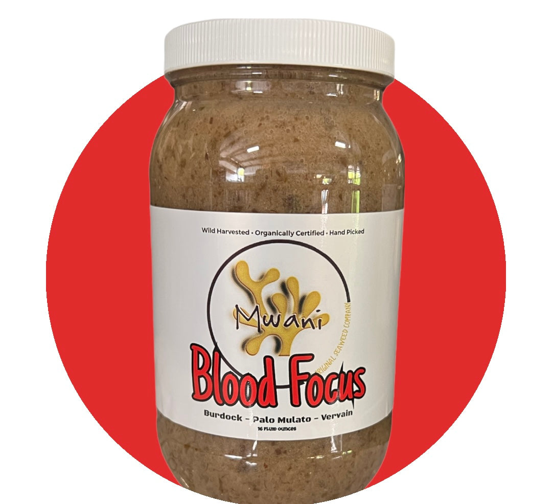 Blood Focus - Activated Irish Moss Gel