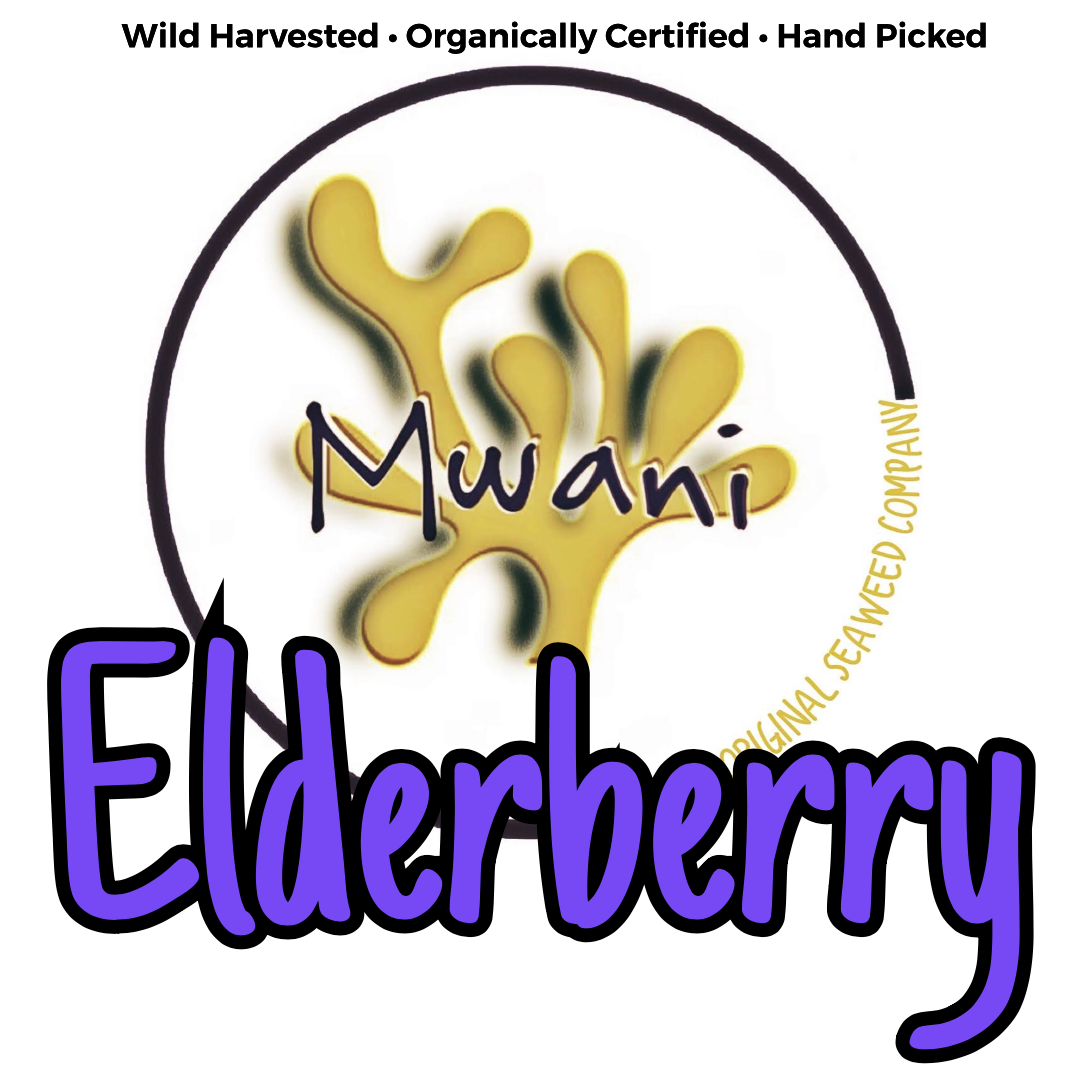 Elderberry - Activated Irish Moss Gel