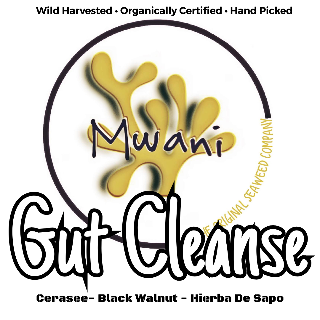 Gut Cleanse - Activated Irish Moss Gel