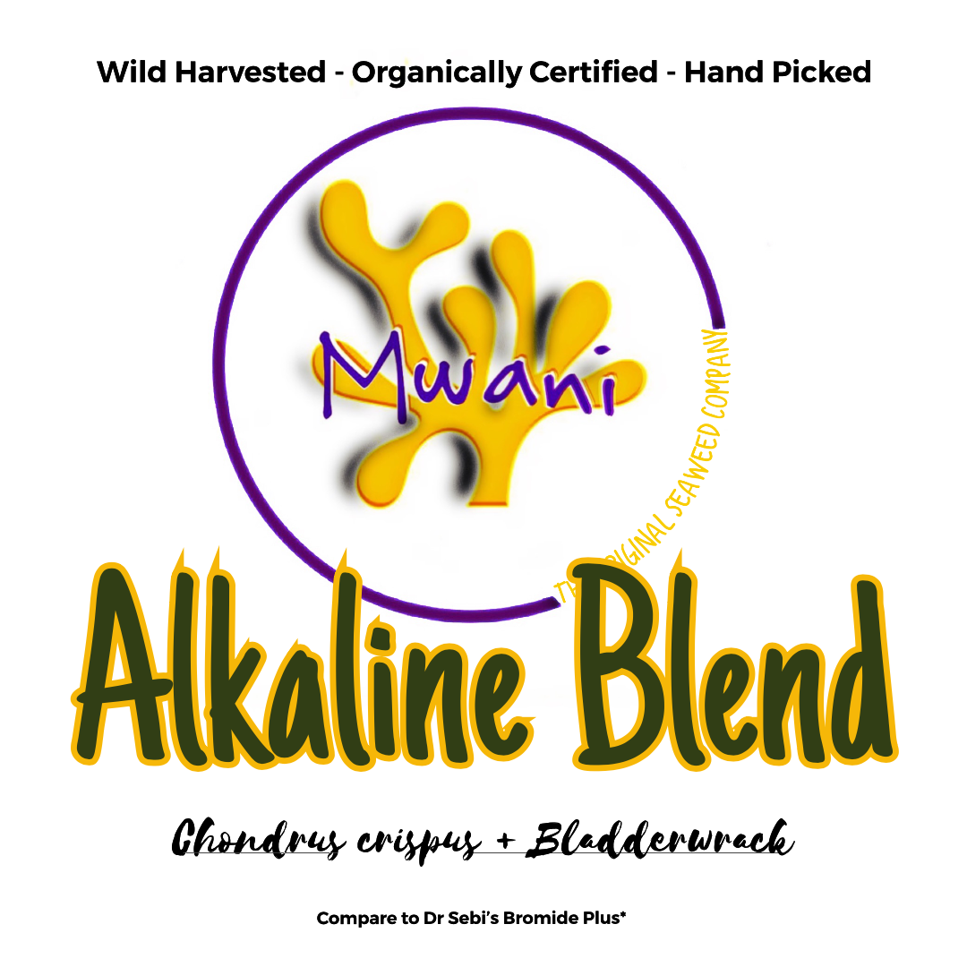 Alkaline Blend Powder (Irish Moss + Bladderwrack)