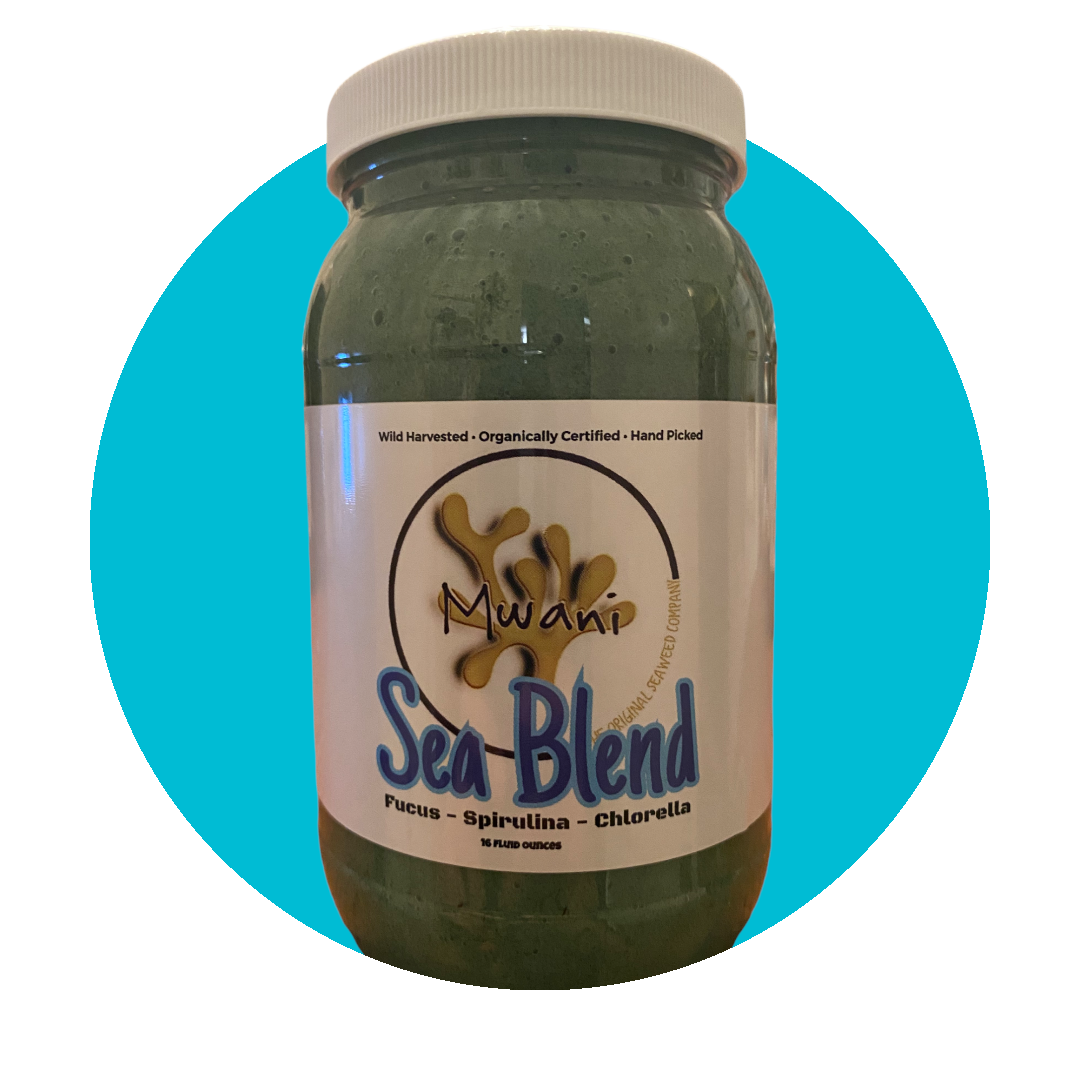 Sea Blend - Activated Irish Moss Gel