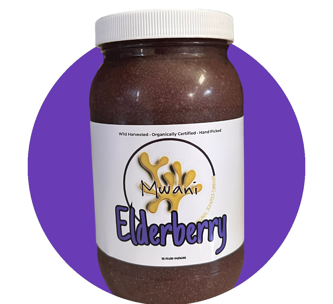Elderberry - Activated Irish Moss Gel