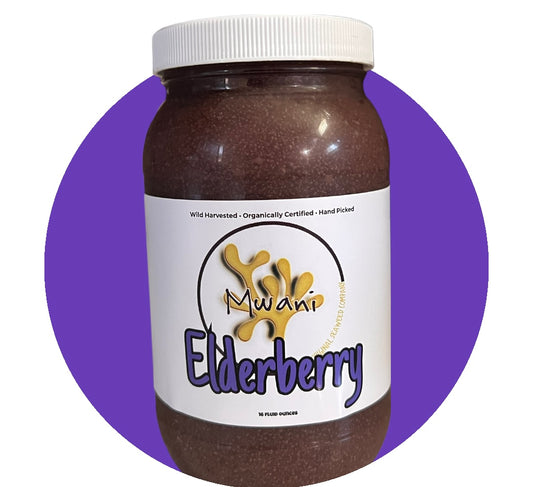 Elderberry - Activated Irish Moss Gel